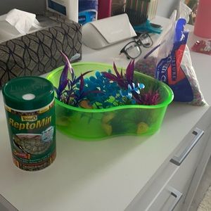 Turtle tank with accessories